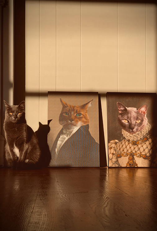 A cat poses in the sunlight against two regal looking portraits of other cats